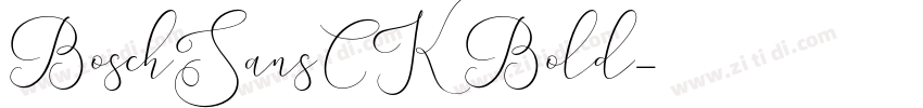 BoschSansCK Bold字体转换